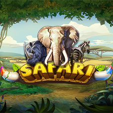 Safari-1.jpg